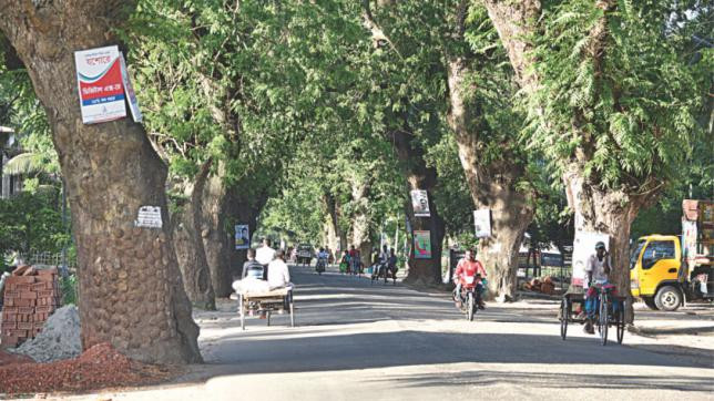 Cutting tress of Jessore Road
