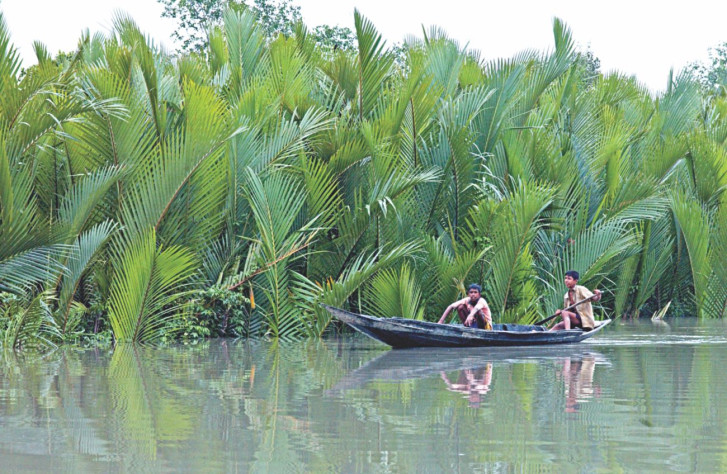 protecting_sundarbans.jpg?itok=KH_dd99T protecting_sundarbans.jpg?itok=KH_dd99T