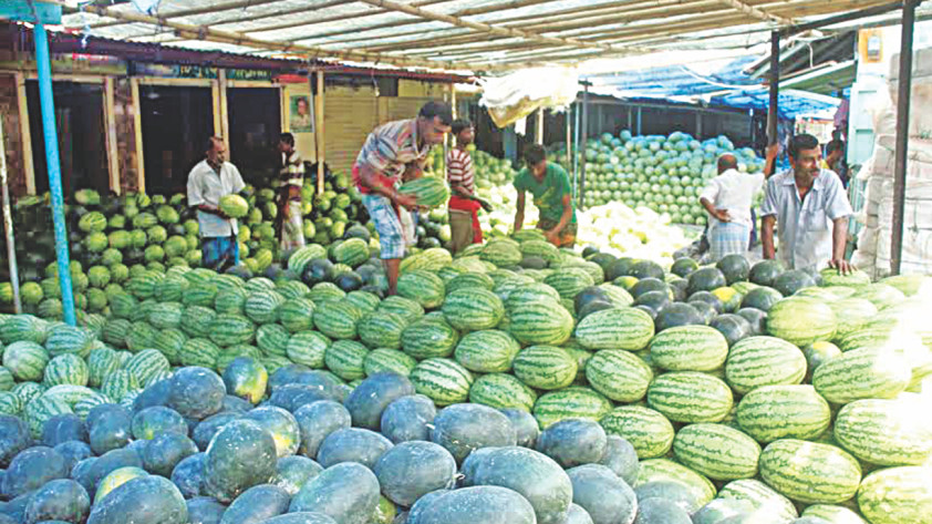 watermelons.jpg?itok=9-7oM7Lk&c=50b70963