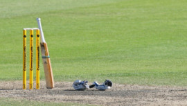 hit cricket ball