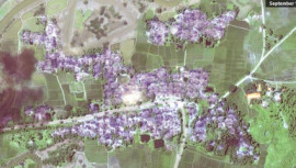 mass rohingya grave found