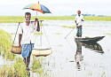 The many benefits of agro-tourism