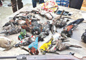 Three jailed for hunting wild birds