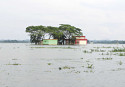 Climate change: What Bangladesh can do