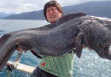 Is this giant Wolffish a result of Fukushima nuclear disaster?  