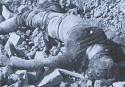 Martyred Intellectuals: Still not war heroes