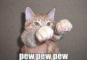 Types of people in pet society Facebook groups