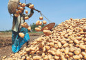 Bangladesh food security ranking lowest in South Asia