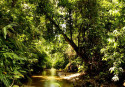 Plan your day trip adventure