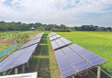 Solar power lights up remote char
