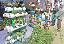 Boom in Veg Farming: Middlemen mint money