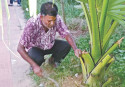 For the love of nature
