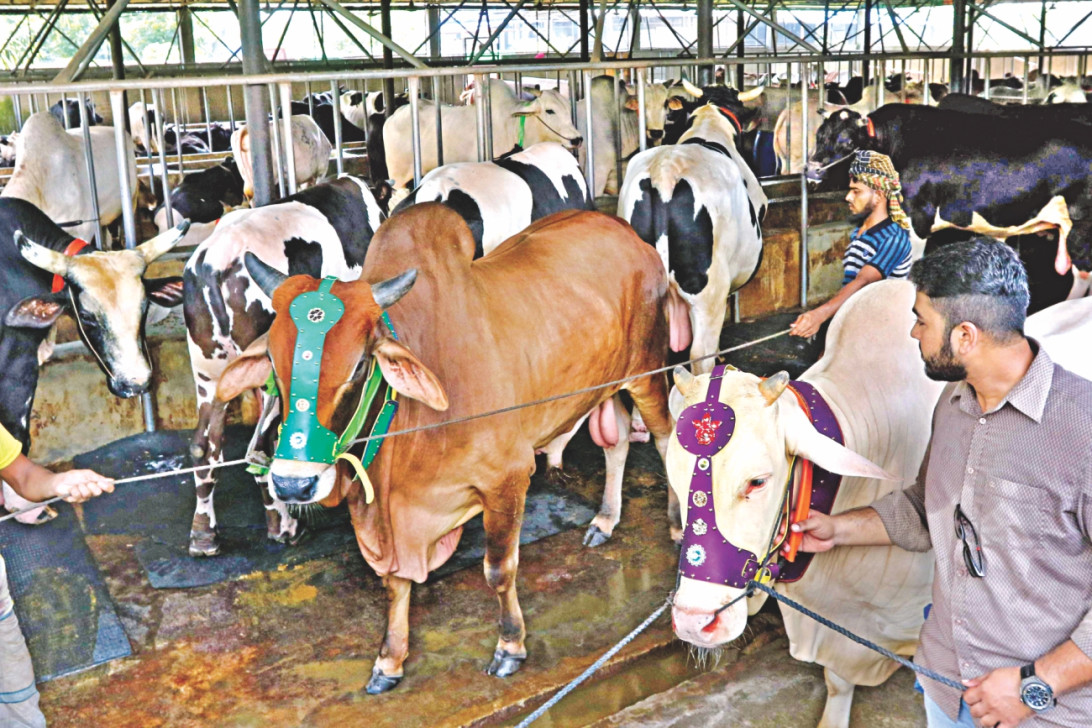 Dairy farm business plan in bangladesh bangladeshi