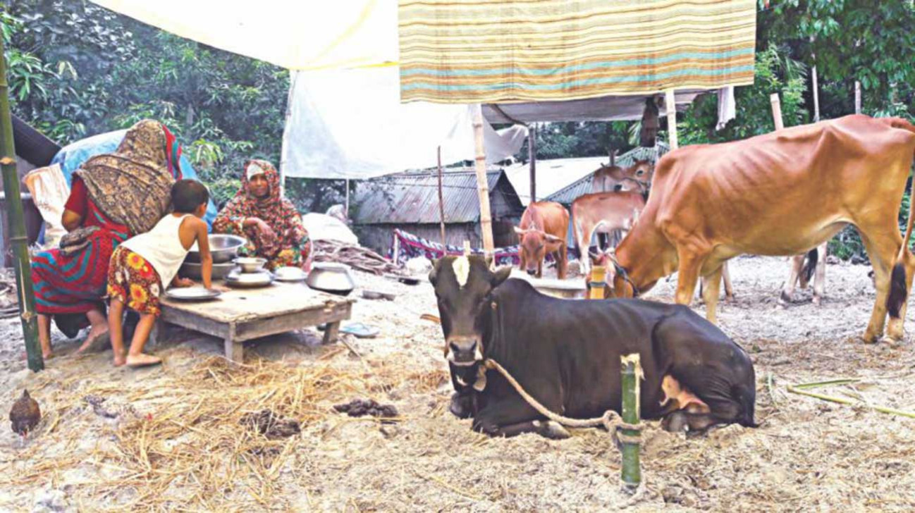 Flood: Jamuna swelling, most other rivers receding