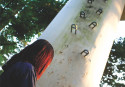 Living with HIV: a fight to the death