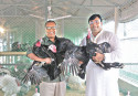A millionaire turkey farmer