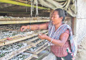 Silk industry flourishes in the hills