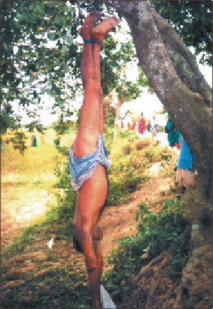 Picture