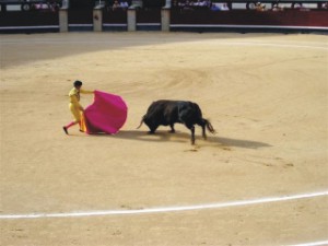 Picture
