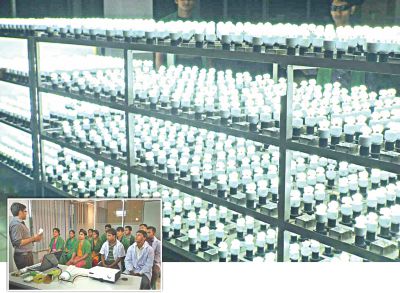 Energypac 15 Watt Led Bulb People Buy Online At Best Prices In Bangladesh Daraz Com Bd