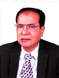 Asadul Habib Dulu
