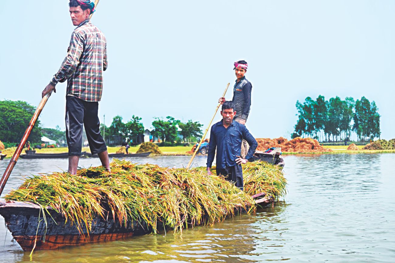 Havoc in haor