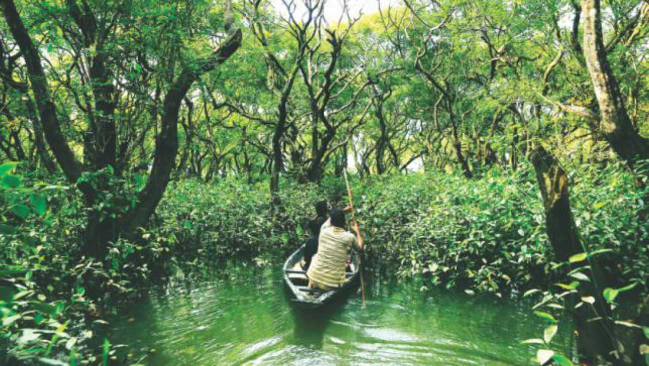 Why have we failed to promote tourism?