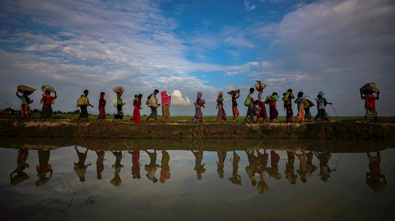 Repatriation to begin in mid-Nov