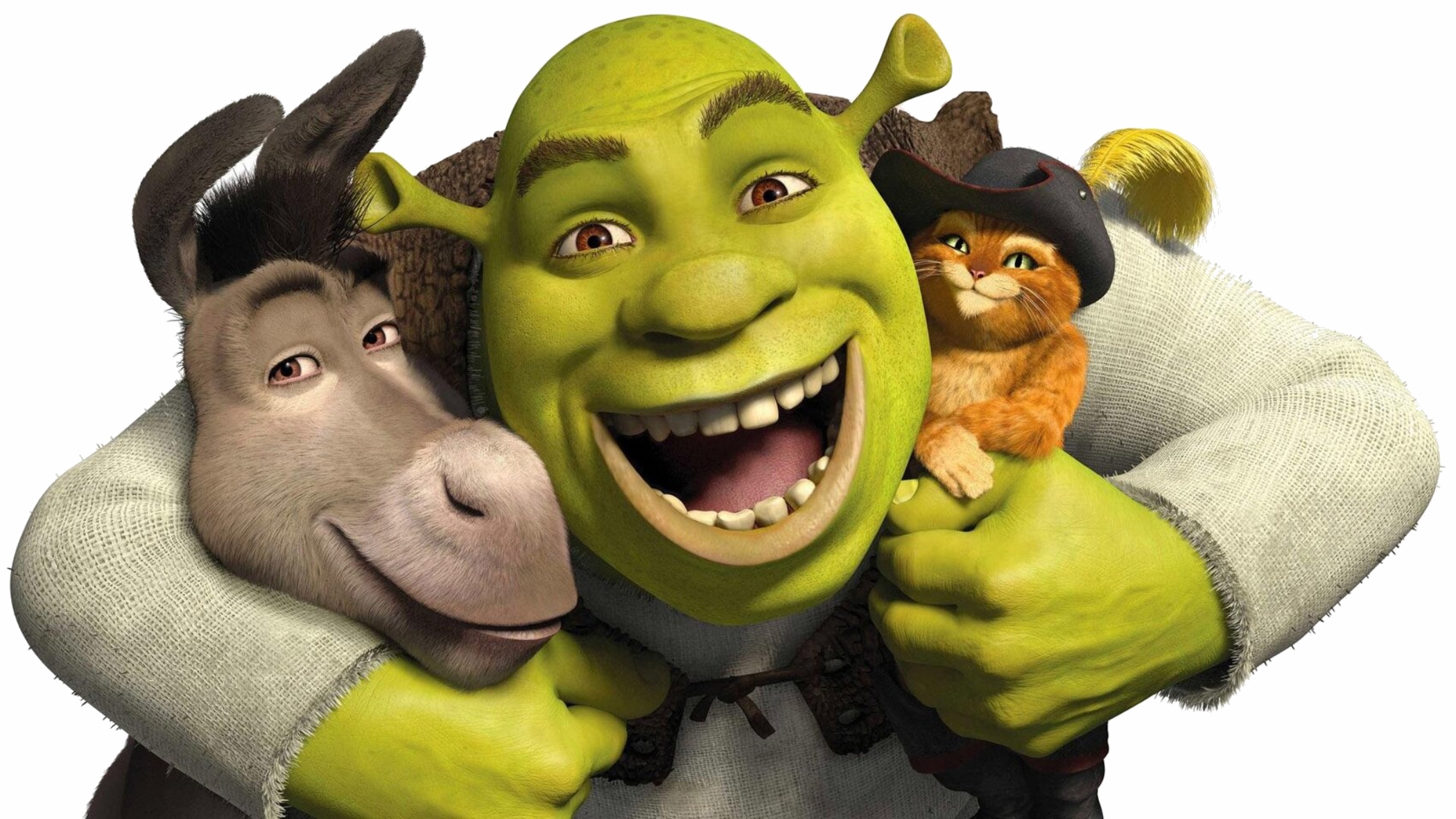Adulting, as told by Shrek