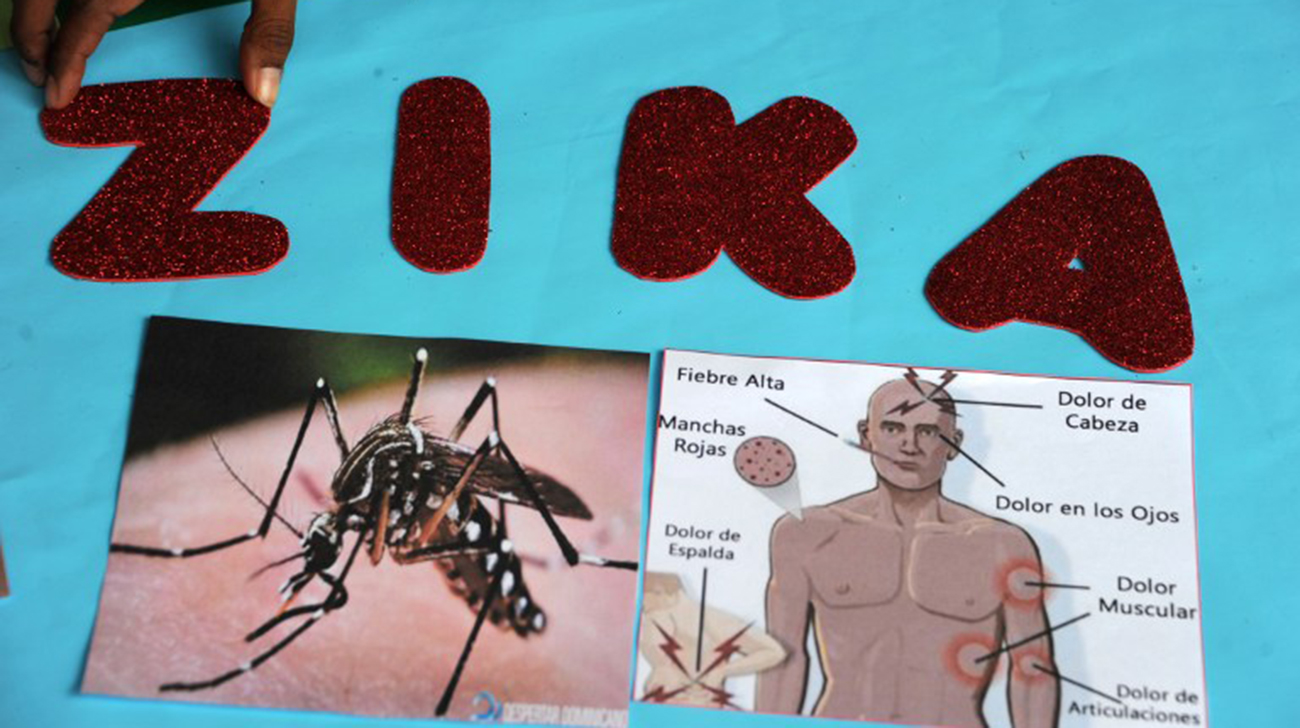 Zika virus may hide in organs protected from immune system