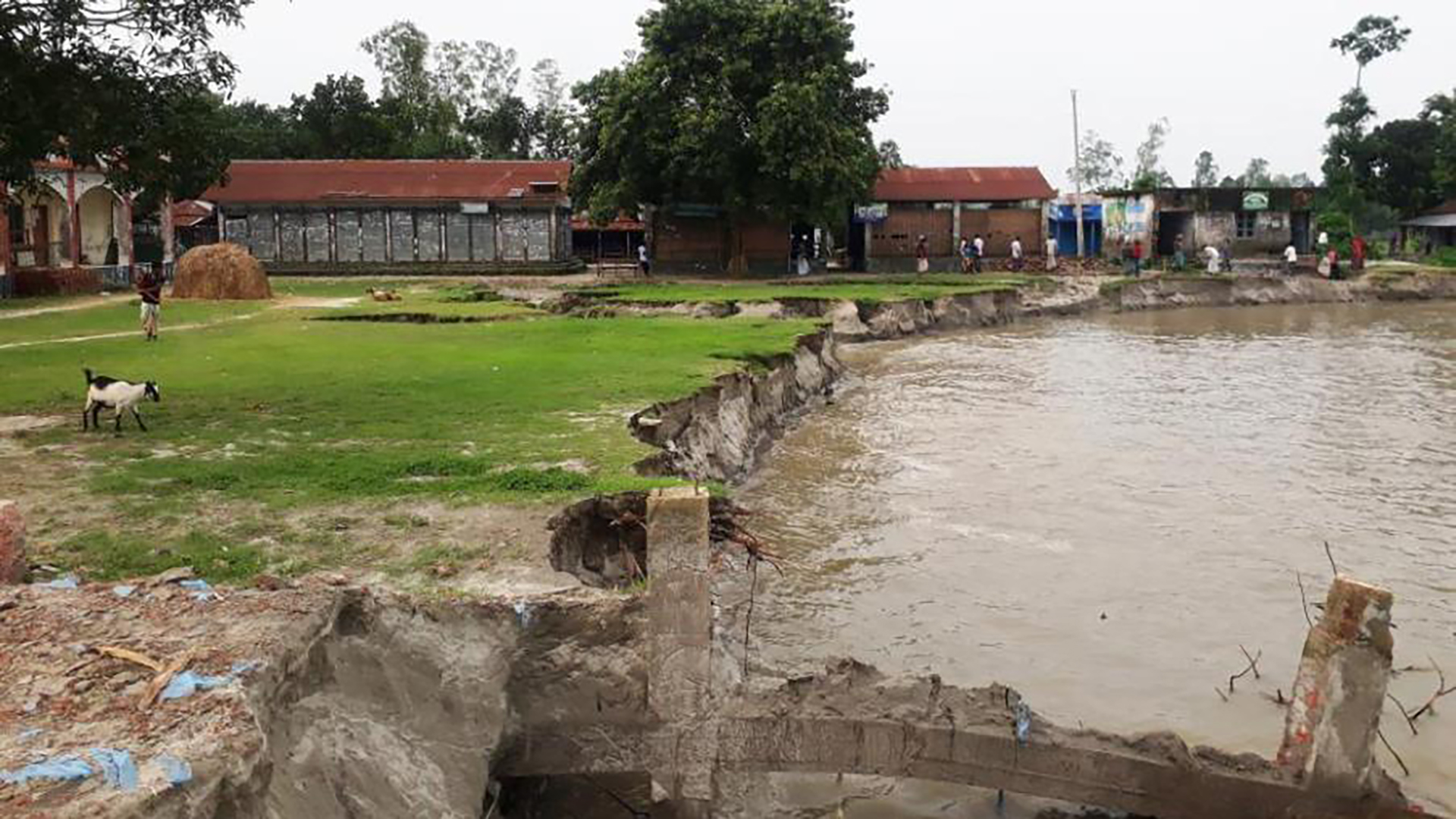 As floodwaters recede, erosion begins at Brahmaputra-Teesta-Dharla rivers