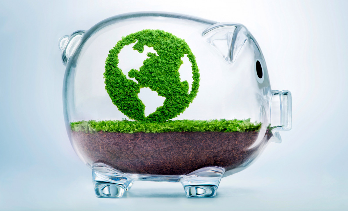 What local NGOs must do to secure climate finance