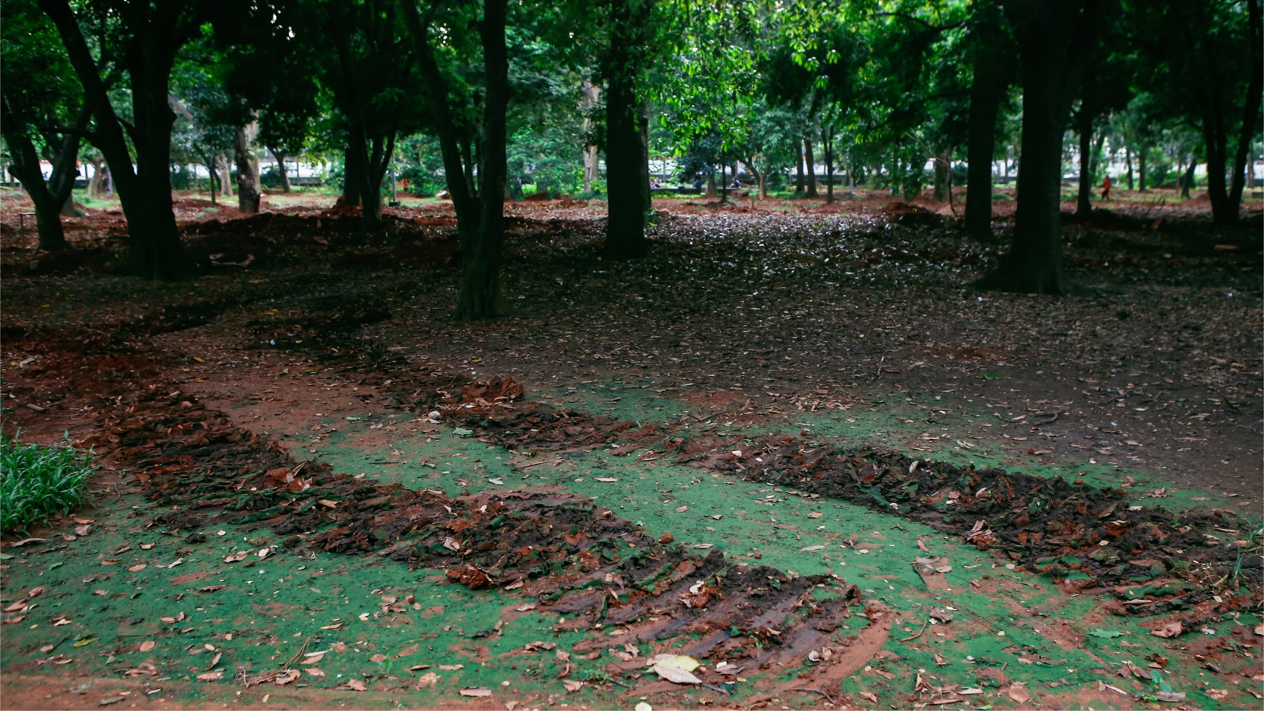 The Graveyard