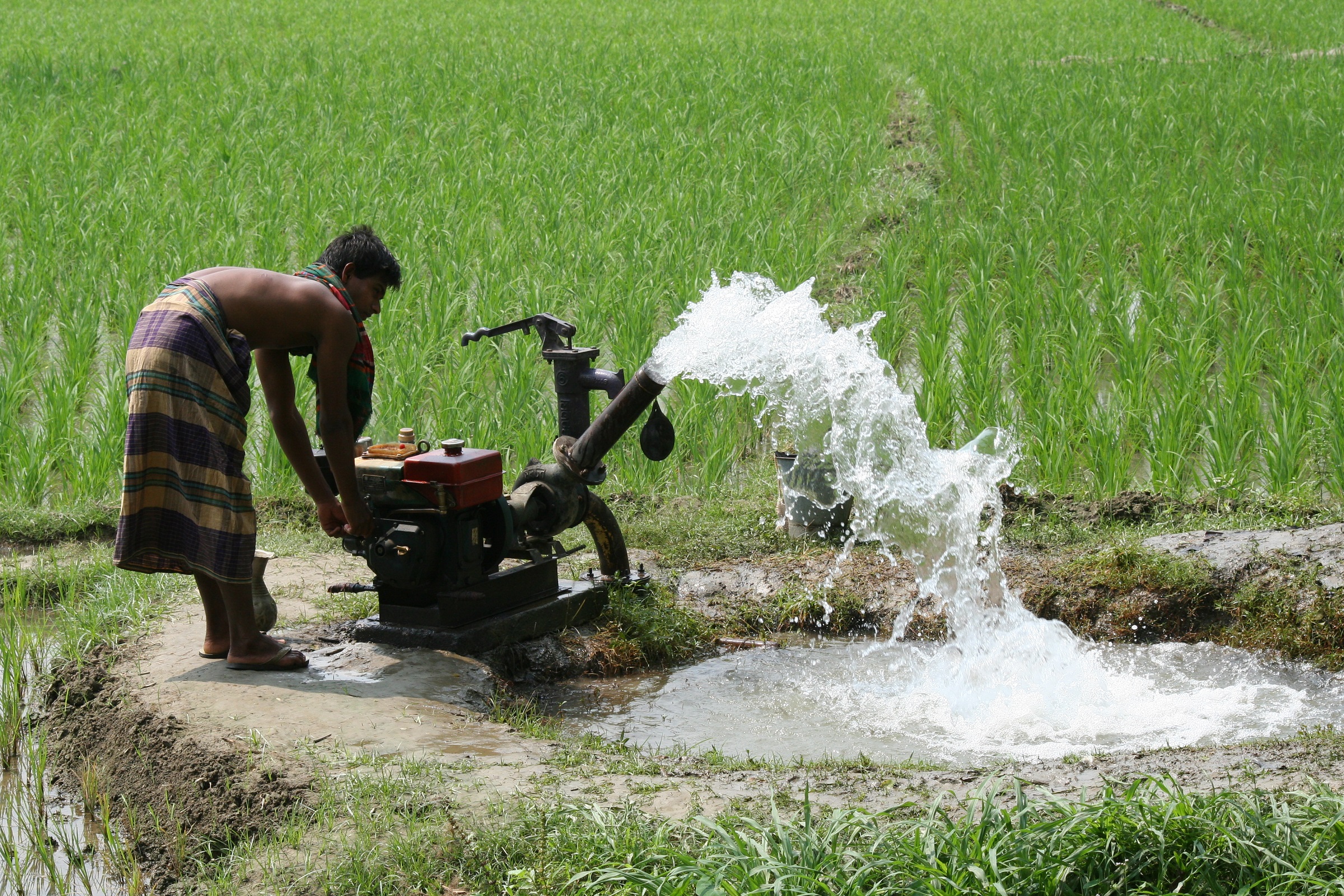 Increased cost of irrigation: What about food security in Bangladesh?