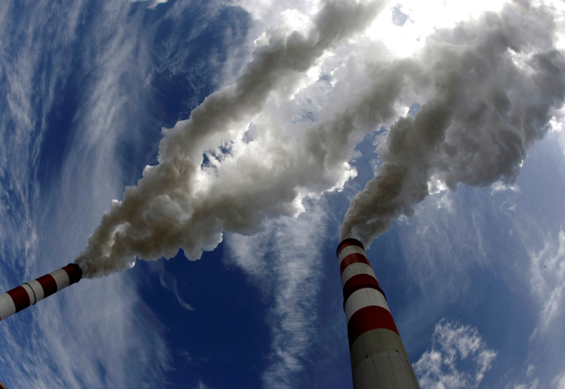 Will Earth remain inhabitable after 2050?