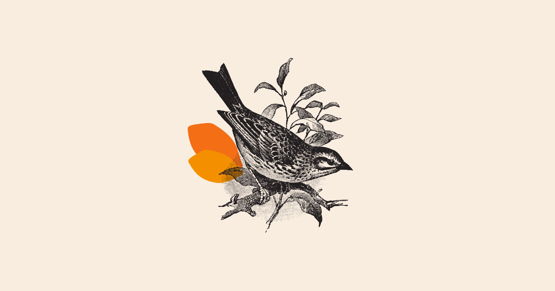 Sparrow Home