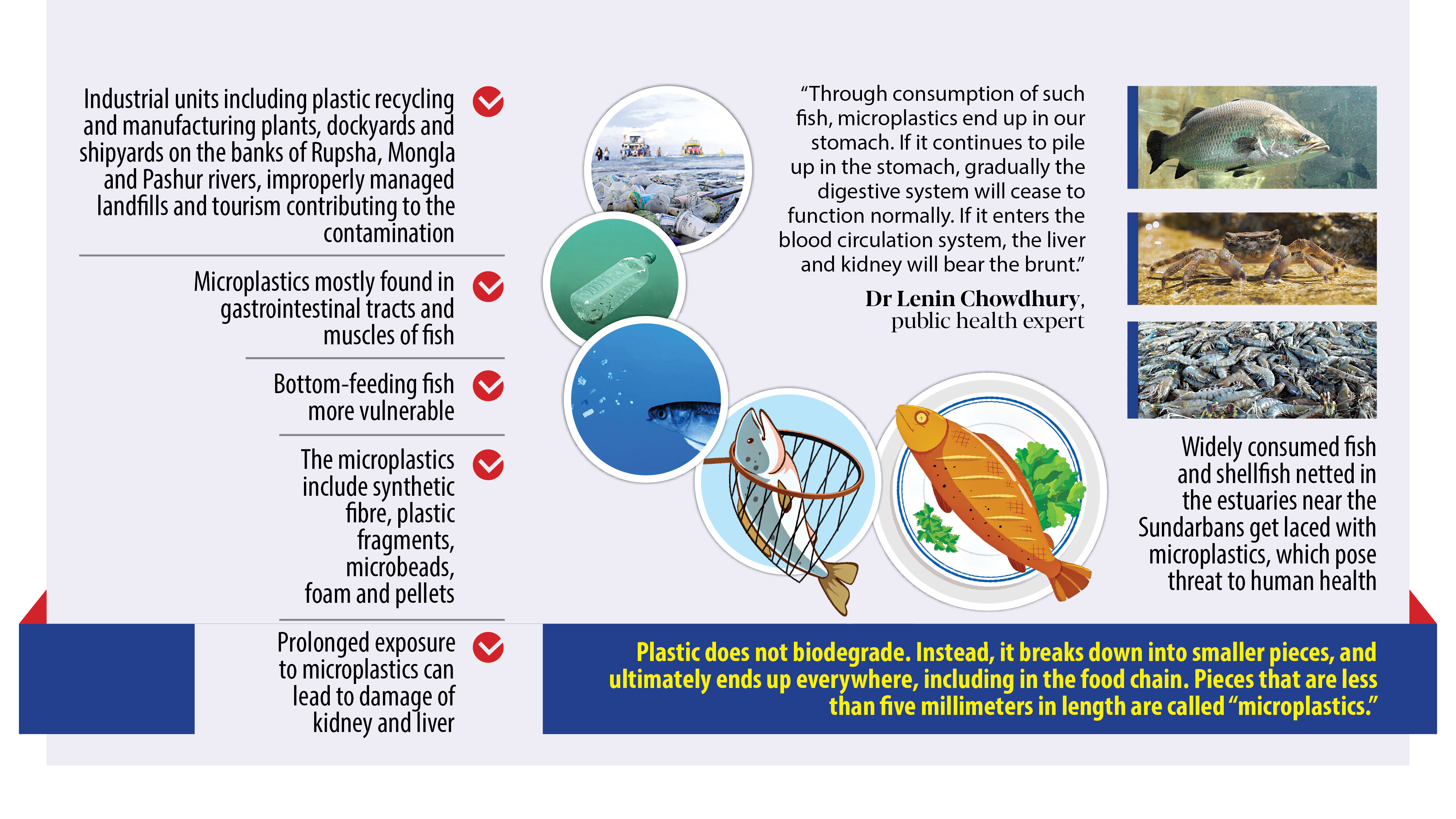 Fish under threat, humans too