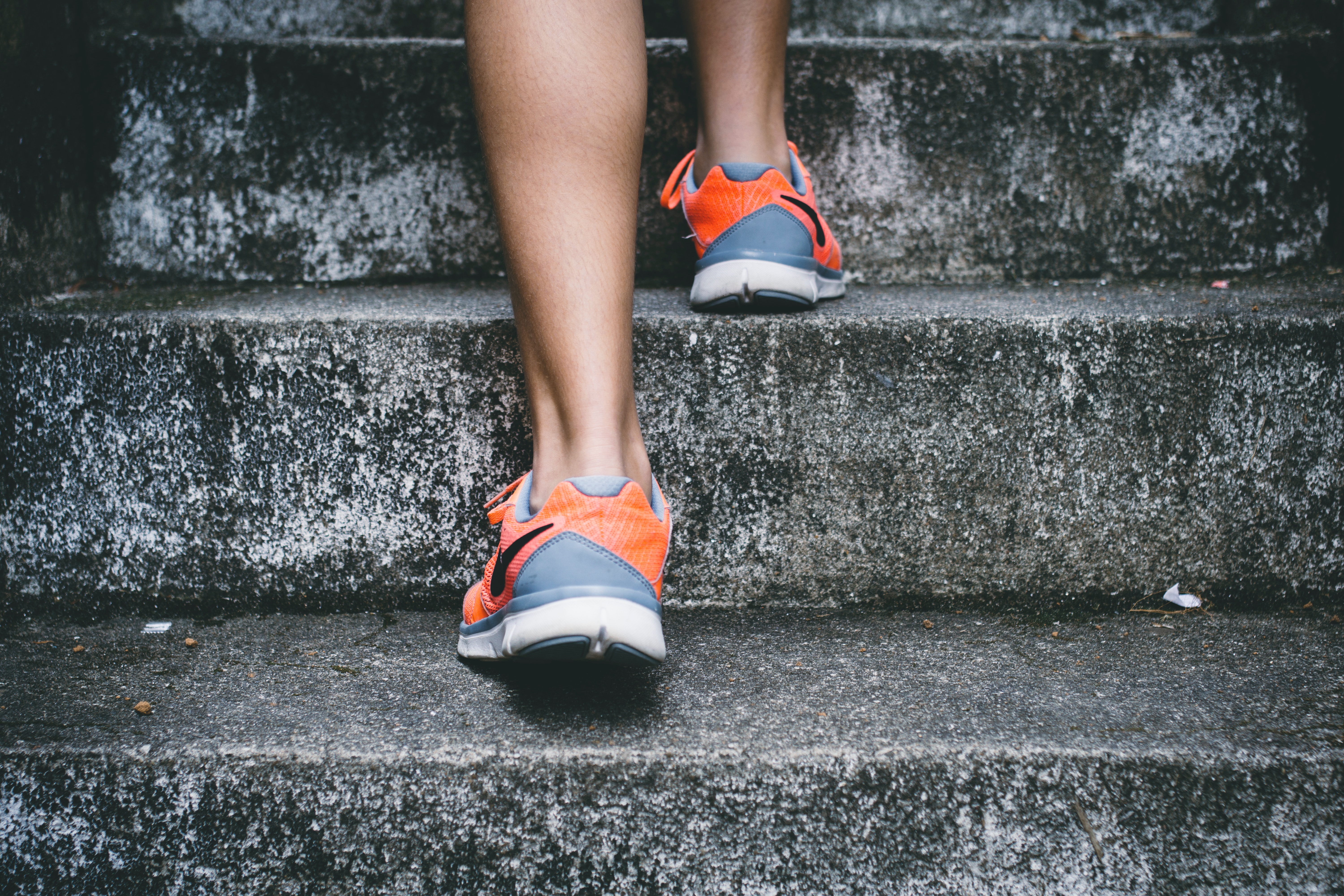 Essential workout routines for all