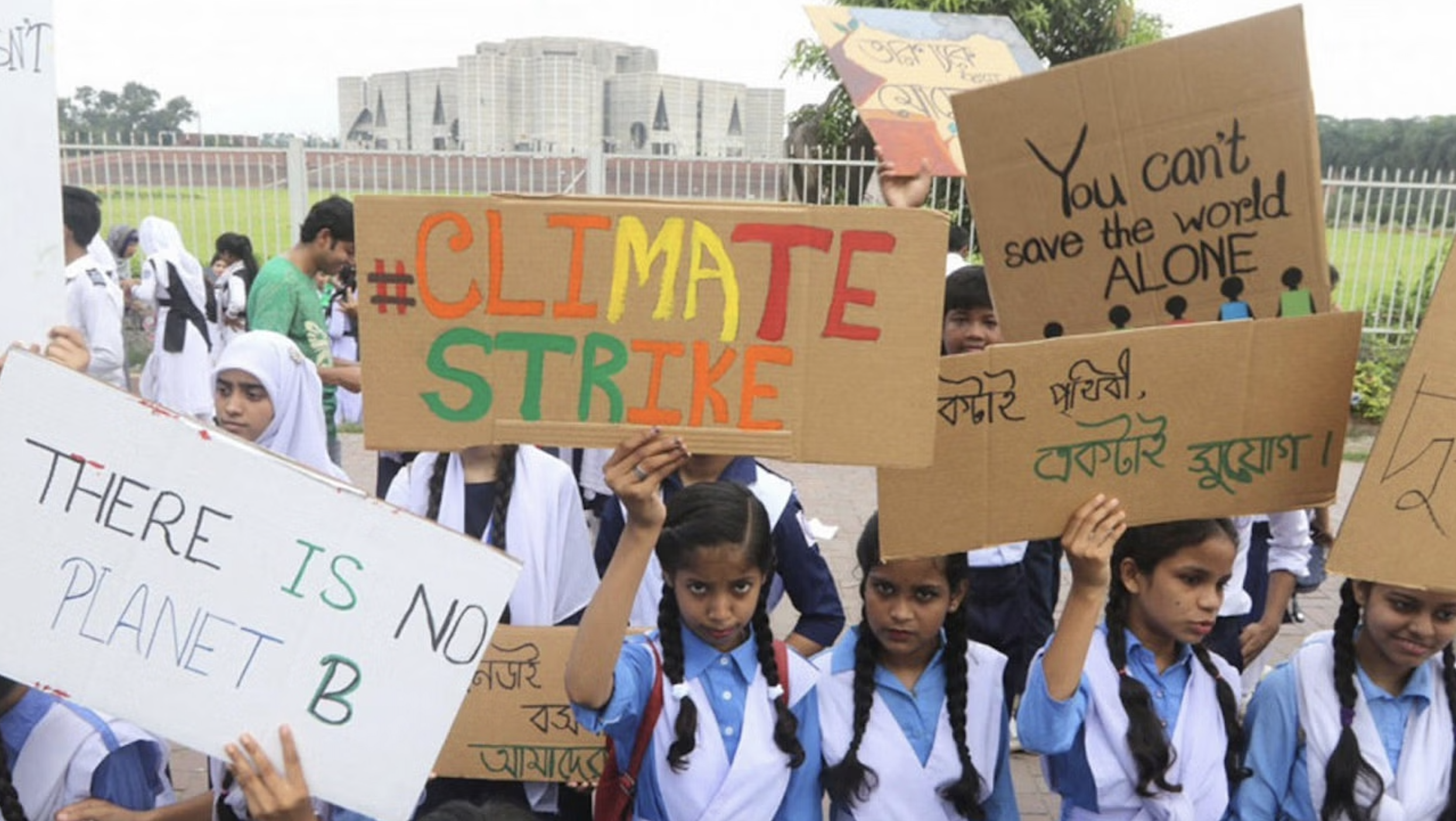 Help young people steward green transition