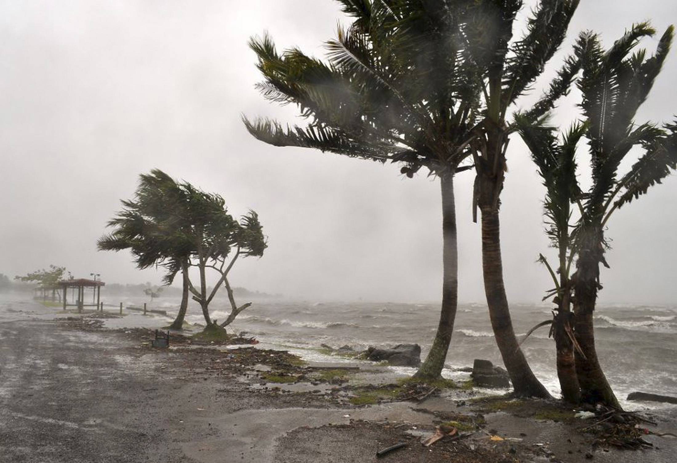 What Asia can do to fight climate change