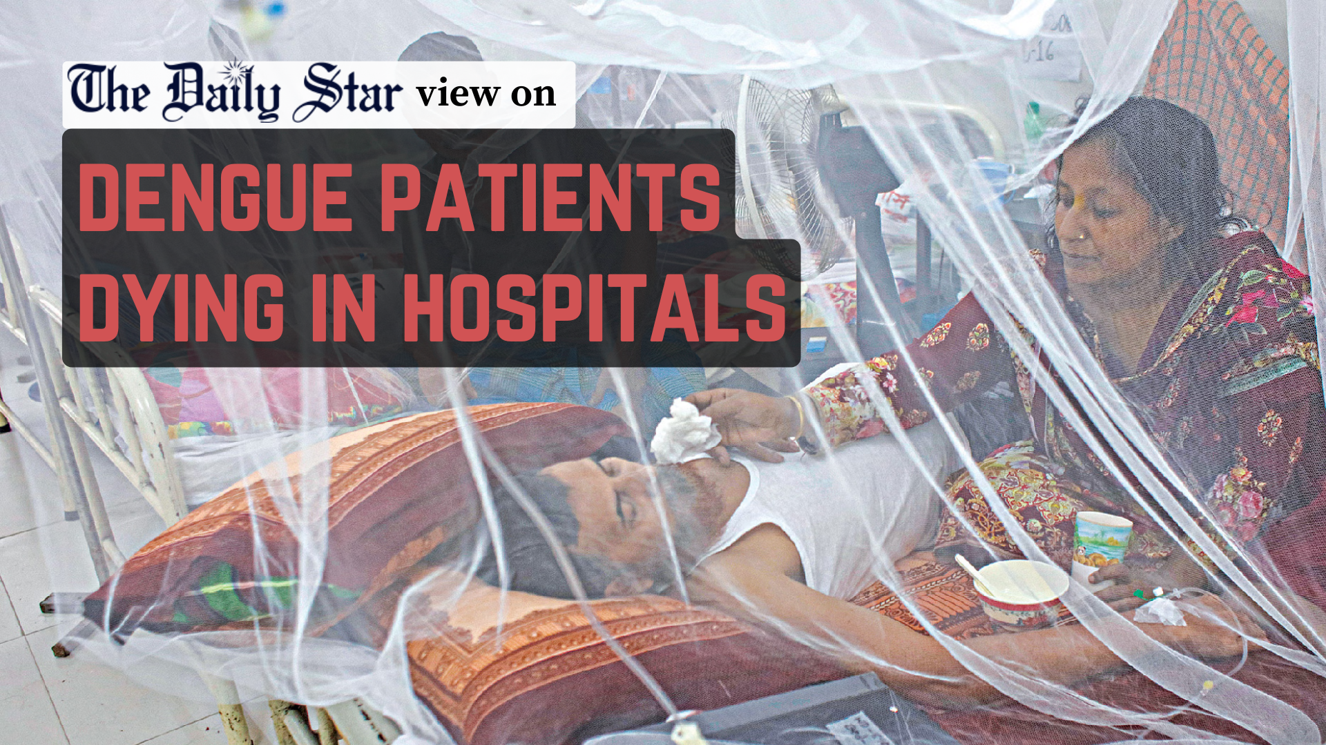 Why are so many still dying of dengue?