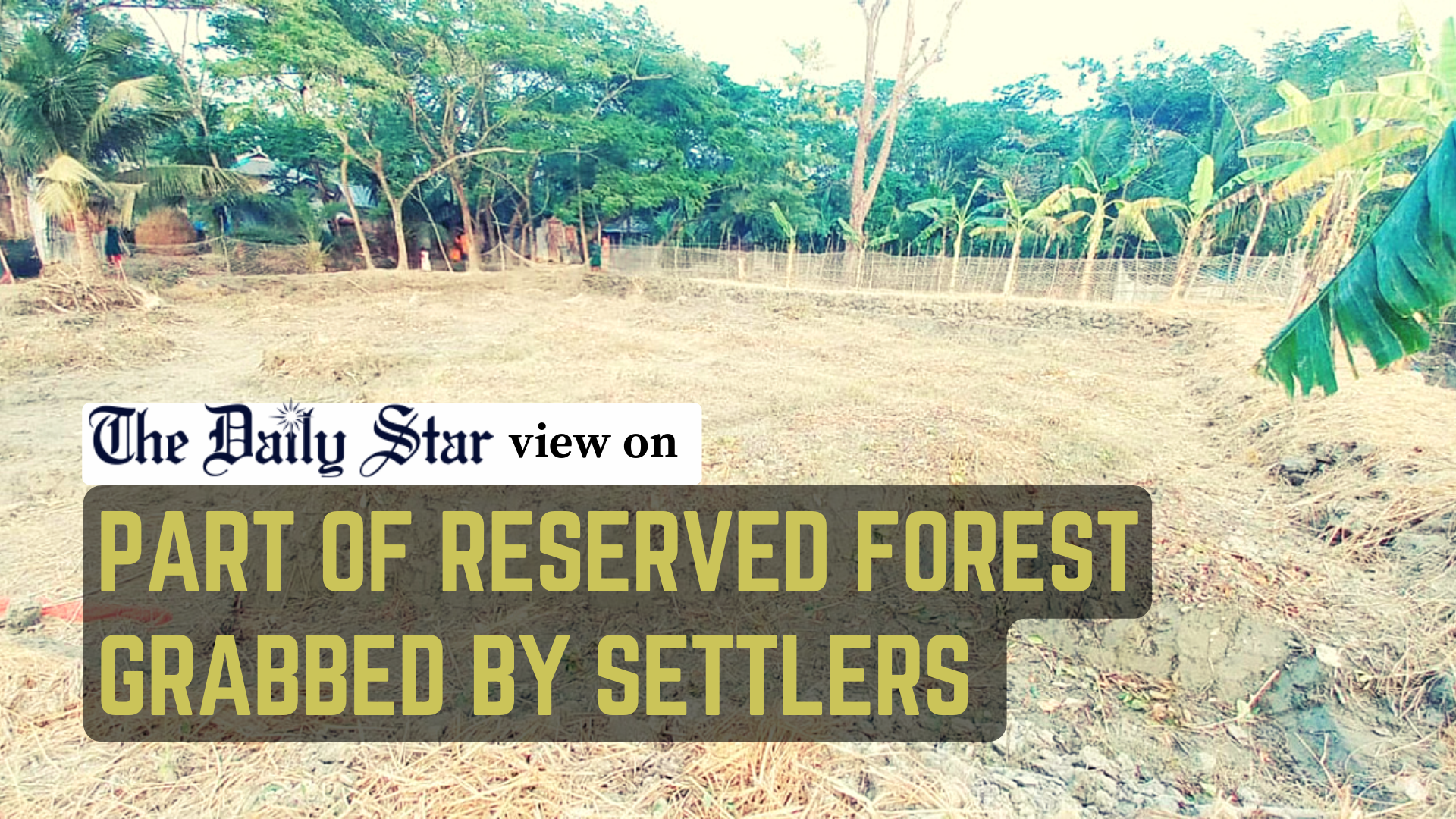 Stop relentless attacks on our forests