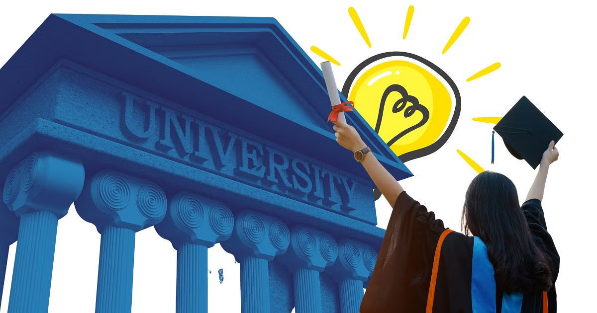A slice of the university pie