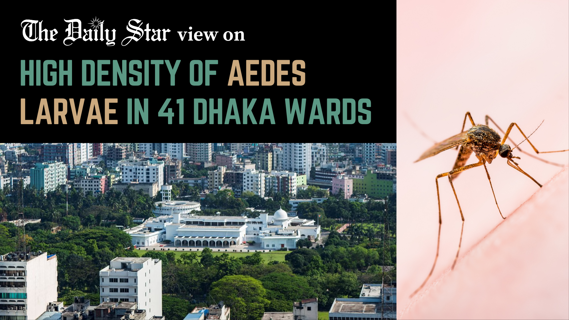 Managing dengue hotspots can be the difference between life and death