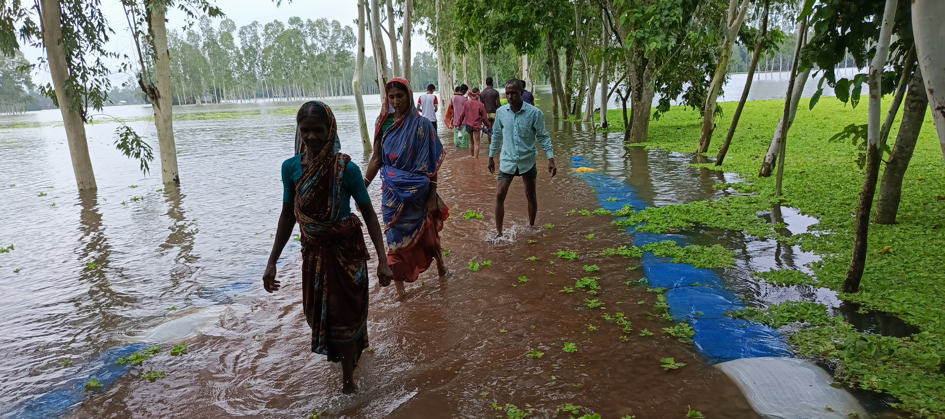 Kurigram's flood situation worsens as Brahmaputra flowing above danger level