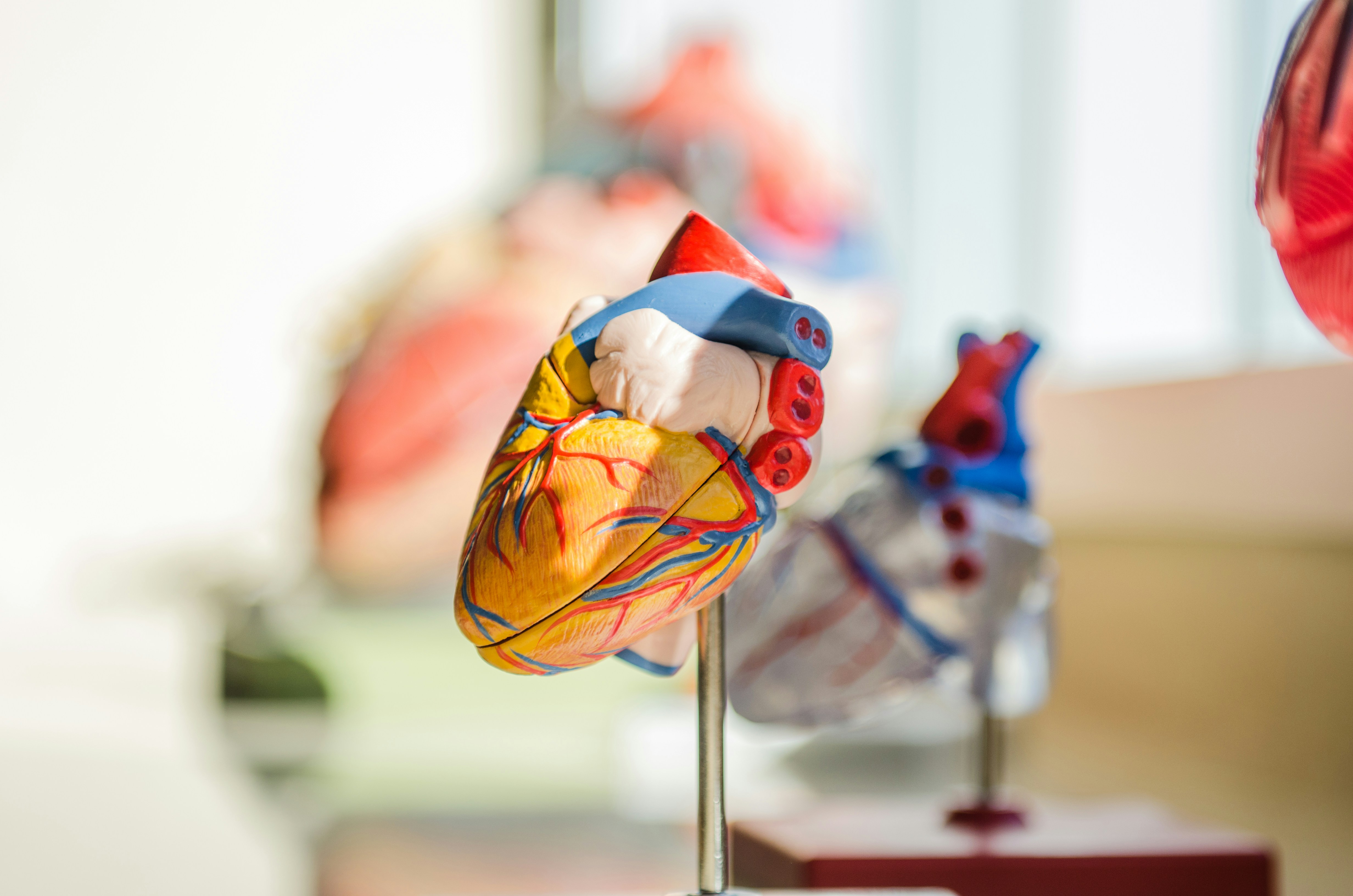 Eat, sleep, move, repeat: The lazy person’s guide to cardiac health