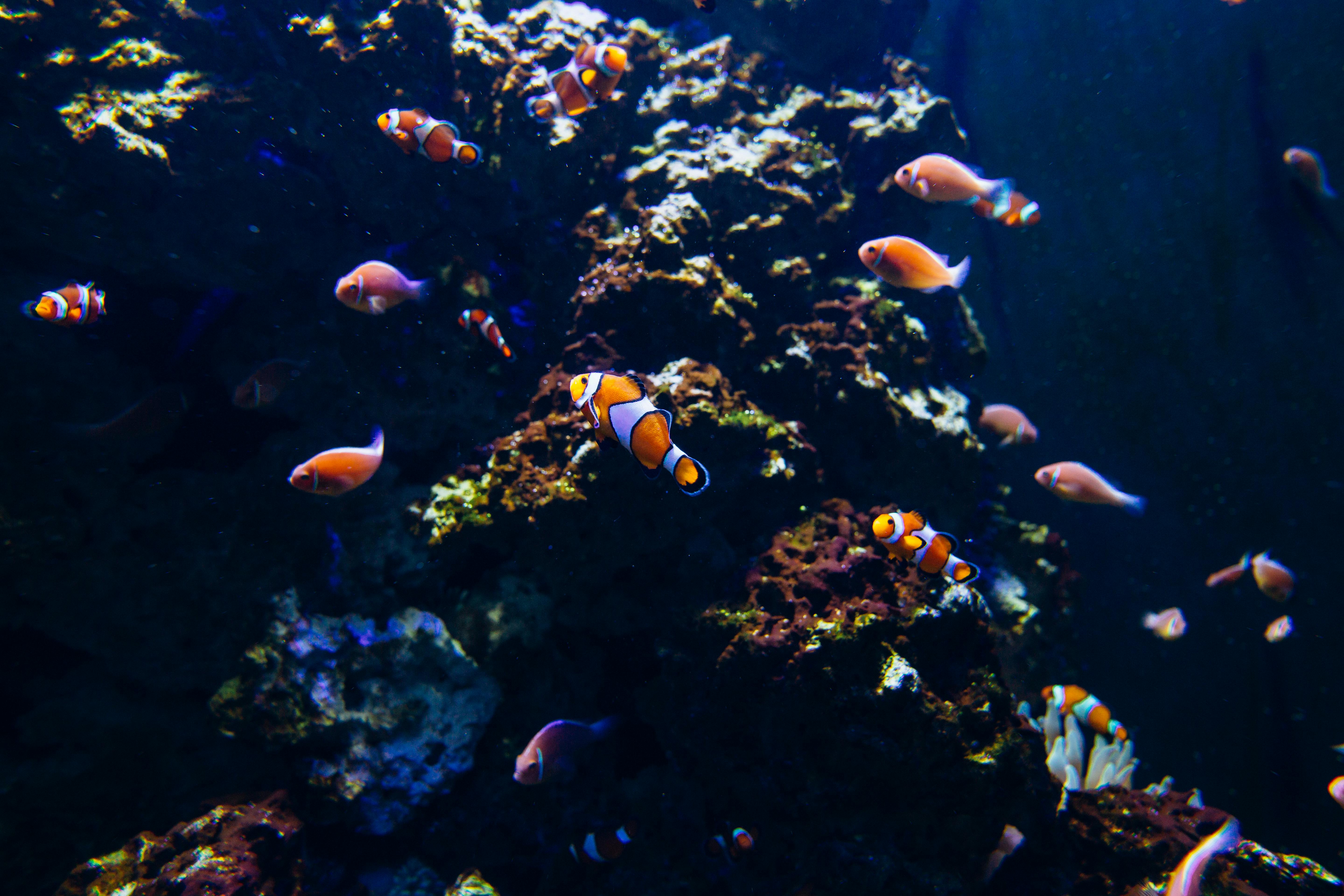 5 best water zoos in Asia you thought never existed