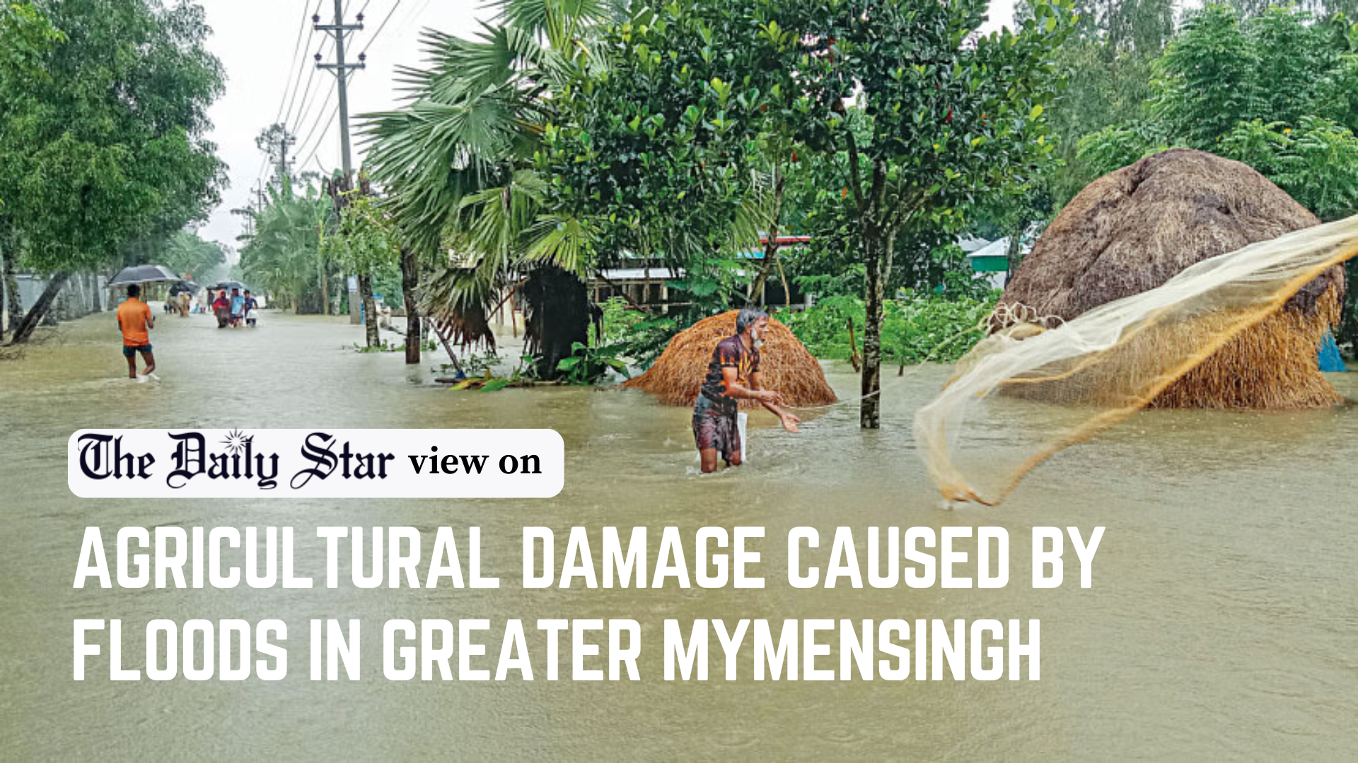 Flood-hit farmers need proper support