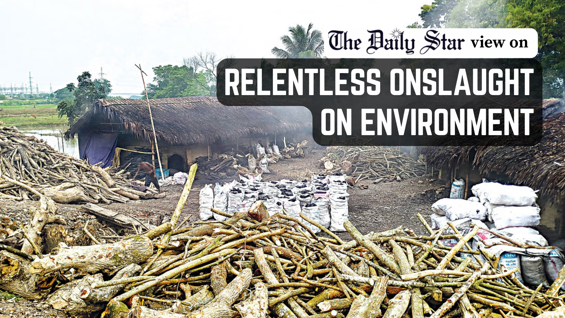 Take stern action to protect our environment