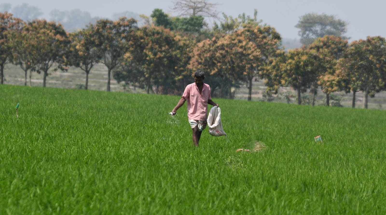 Research into nano-urea can transform our agricultural sector